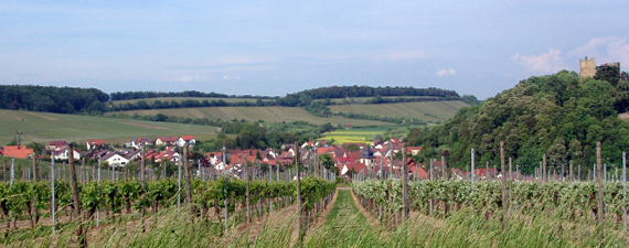 Neipperg